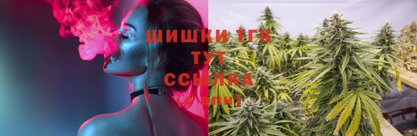 тгк Елизово