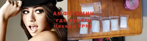 твердый Дмитровск