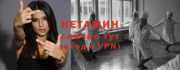 твердый Дмитровск