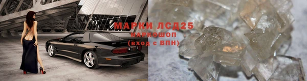 тгк Елизово