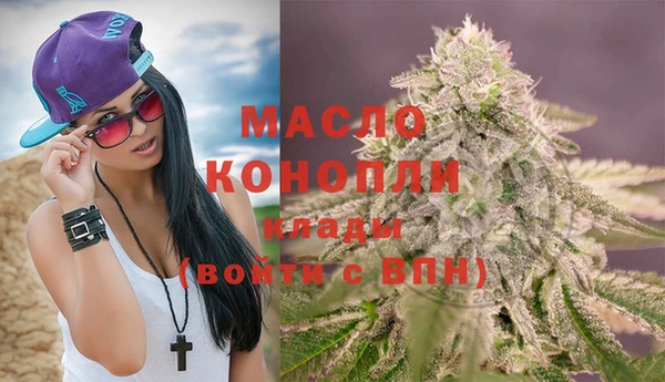 тгк Елизово
