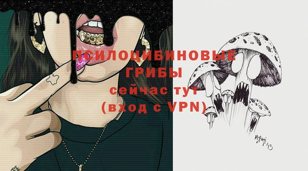 твердый Дмитровск