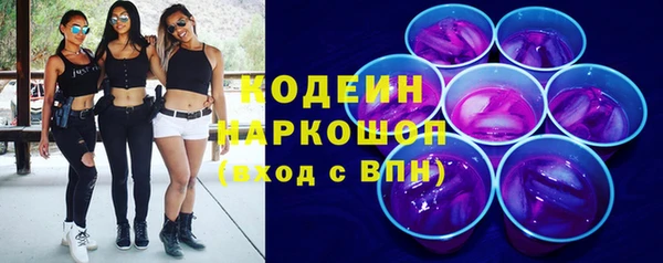 твердый Дмитровск