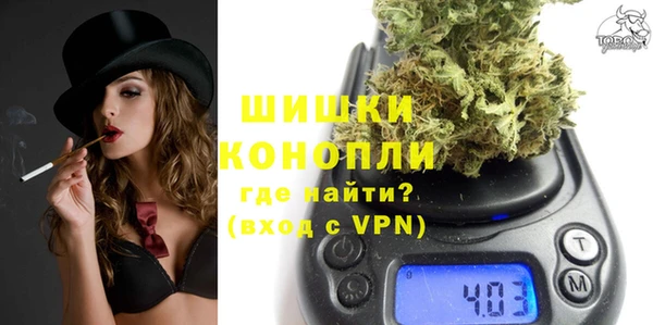 твердый Дмитровск