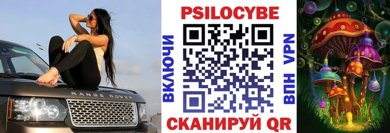 Псилоцибиновые грибы Cubensis  Купить закладки  Валуйки 